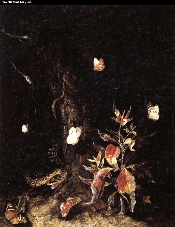 SCHRIECK, Otto Marseus van Reptiles,Butterflies,and Plants at the Base of a Tree